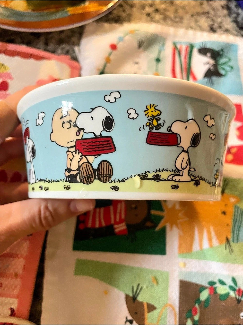 Peanuts Snoopy & Woodstock Small Blue Ceramic Pet Bowl